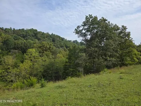tbd E Pumpkin Valley Rd, Eidson, TN 37731 photo 13