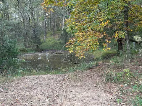 880 Gray Rd, Rutledge, TN 37861 photo 25
