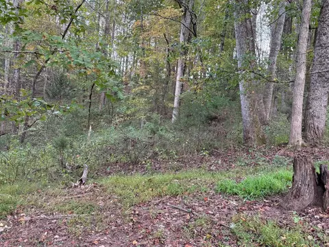 880 Gray Rd, Rutledge, TN 37861 photo 27