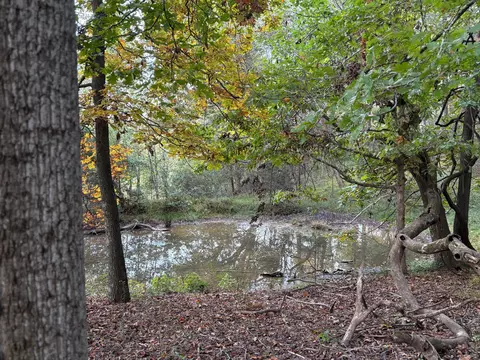 880 Gray Rd, Rutledge, TN 37861 photo 11