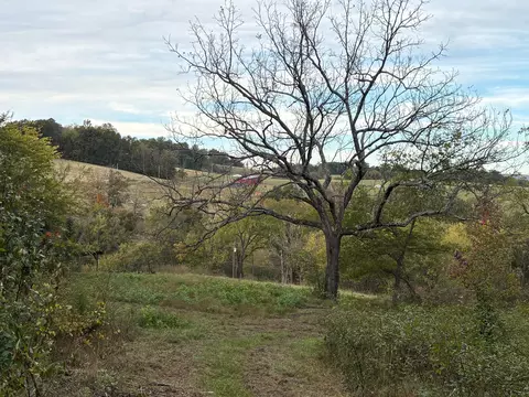 880 Gray Rd, Rutledge, TN 37861 photo 21