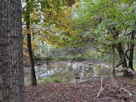 880 Gray Rd, Rutledge, TN 37861 photo 28