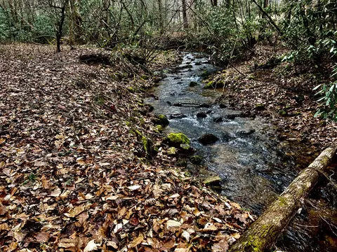 22 Ac Tbd Sciota Rd, Elizabethton, TN 37643