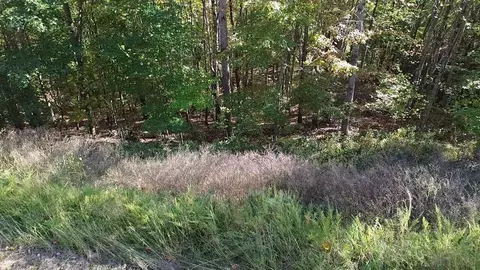 lot158 Whistle Valley Rd, New Tazewell, TN 37825