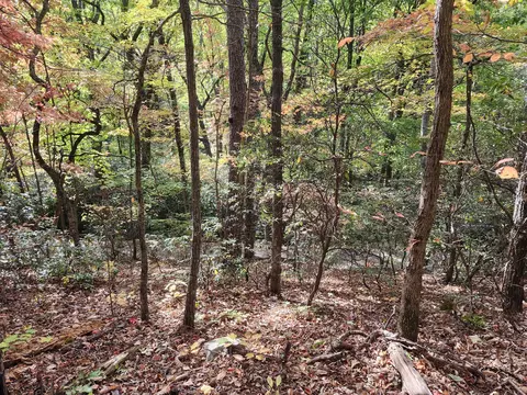 lot11 Bluff Mtn Rd, Sevierville, TN 37876