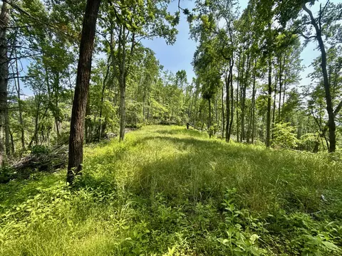 99 NW Ac Nw Tbd Copperhead Hollow Rd, Mountain City, TN 37683