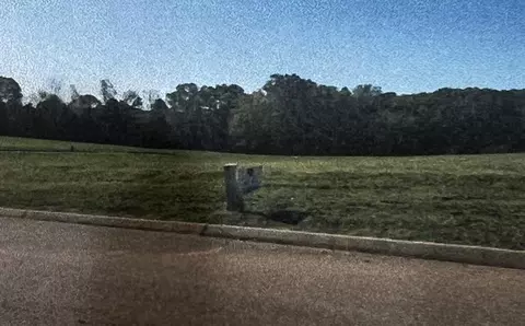 lot100 Shiloh Springs Rd, Rutledge, TN 37861