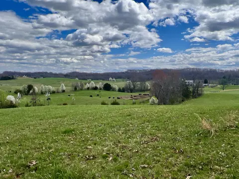 88 Ac Tbd Hwy 93, Fall Branch, TN 37656