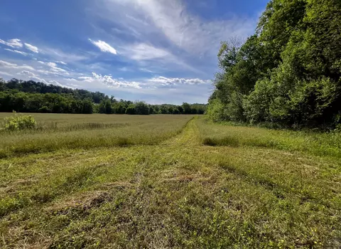 4045 S Mohawk Rd, Mohawk, TN 37810 photo 24