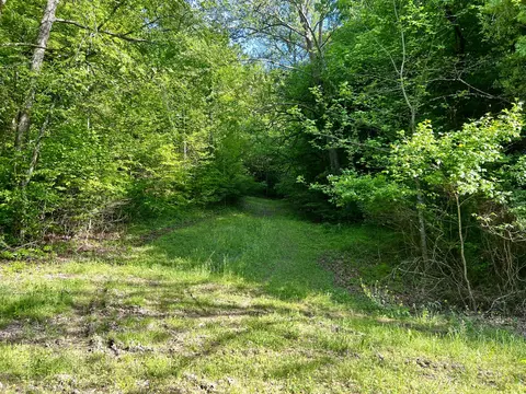 4045 S Mohawk Rd, Mohawk, TN 37810 photo 63