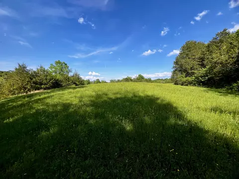4045 S Mohawk Rd, Mohawk, TN 37810 photo 64