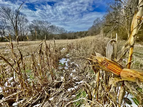 4045 S Mohawk Rd, Mohawk, TN 37810 photo 91