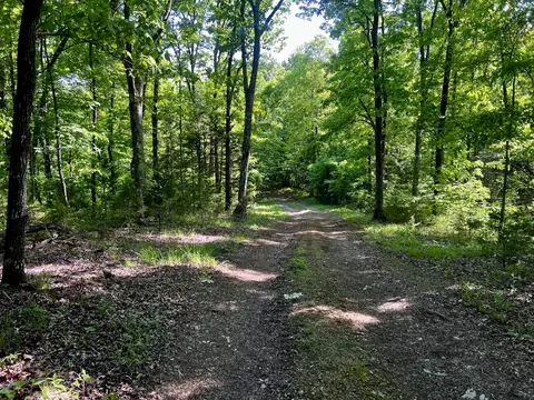 4045 S Mohawk Rd, Mohawk, TN 37810 photo 26