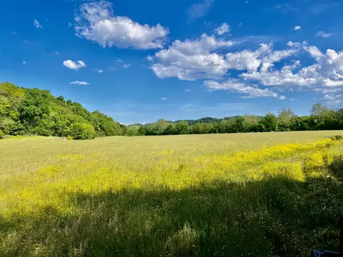 4045 S Mohawk Rd, Mohawk, TN 37810 photo 58