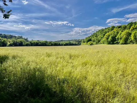 4045 S Mohawk Rd, Mohawk, TN 37810 photo 56