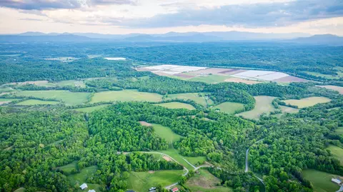 4045 S Mohawk Rd, Mohawk, TN 37810 photo 49