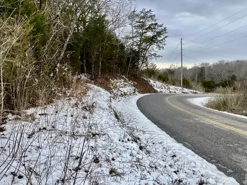 4045 S Mohawk Rd, Mohawk, TN 37810 photo 129