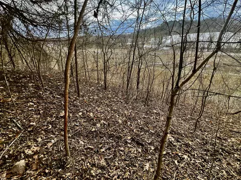 4045 S Mohawk Rd, Mohawk, TN 37810 photo 93
