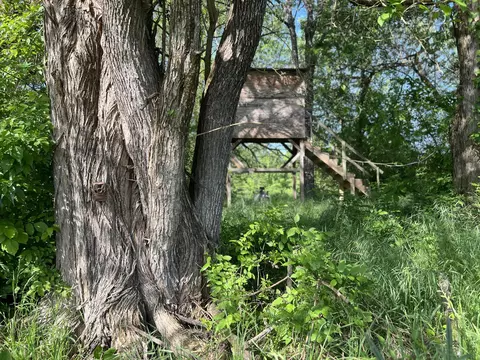 4045 S Mohawk Rd, Mohawk, TN 37810 photo 33