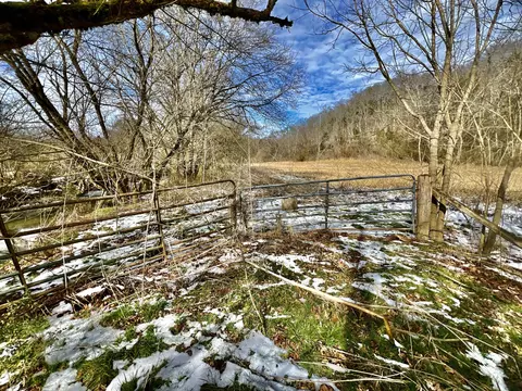4045 S Mohawk Rd, Mohawk, TN 37810 photo 90