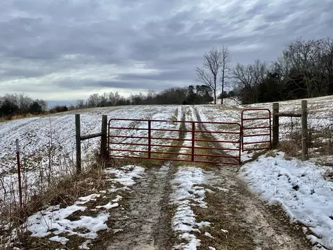 4045 S Mohawk Rd, Mohawk, TN 37810 photo 128