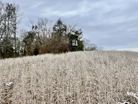 4045 S Mohawk Rd, Mohawk, TN 37810 photo 120