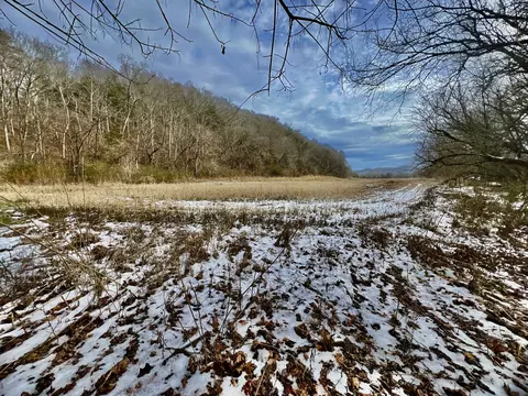 4045 S Mohawk Rd, Mohawk, TN 37810 photo 87