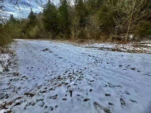 4045 S Mohawk Rd, Mohawk, TN 37810 photo 77