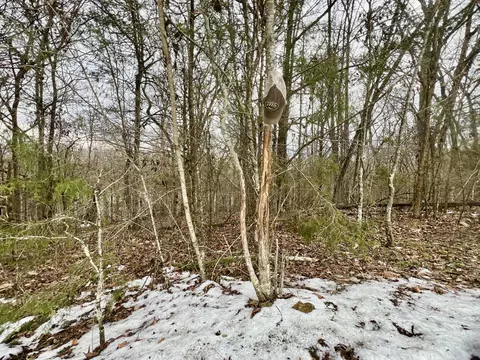 4045 S Mohawk Rd, Mohawk, TN 37810 photo 118
