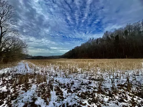 4045 S Mohawk Rd, Mohawk, TN 37810 photo 94