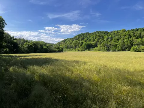 4045 S Mohawk Rd, Mohawk, TN 37810 photo 57