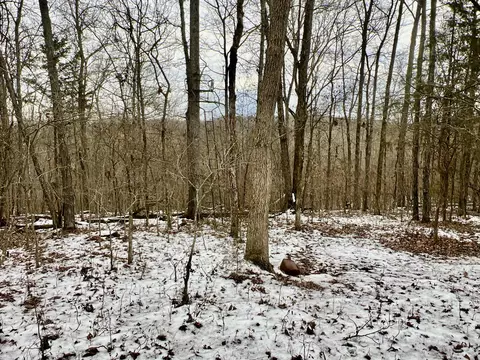 4045 S Mohawk Rd, Mohawk, TN 37810 photo 121