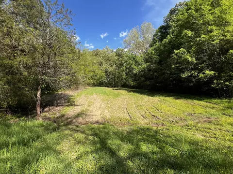 4045 S Mohawk Rd, Mohawk, TN 37810 photo 62