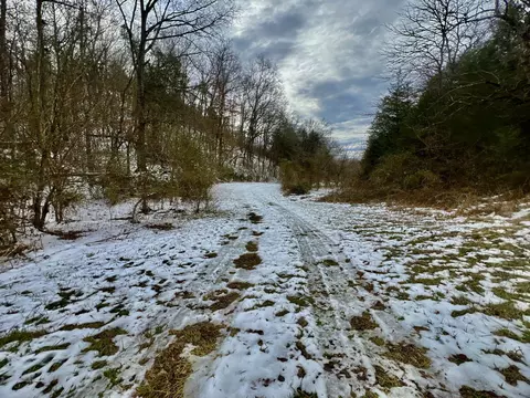 4045 S Mohawk Rd, Mohawk, TN 37810 photo 76