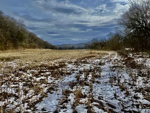 4045 S Mohawk Rd, Mohawk, TN 37810 photo 89