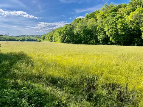 4045 S Mohawk Rd, Mohawk, TN 37810 photo 23