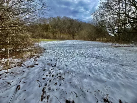 4045 S Mohawk Rd, Mohawk, TN 37810 photo 82