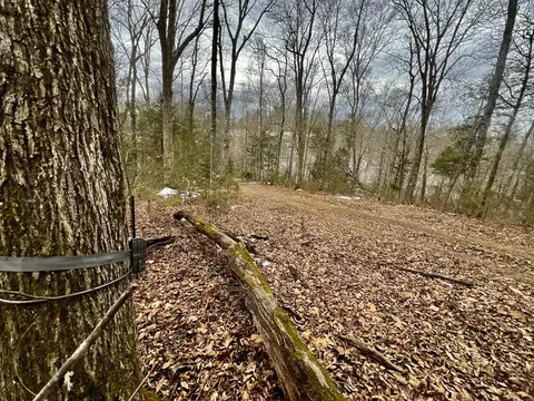 4045 S Mohawk Rd, Mohawk, TN 37810 photo 110