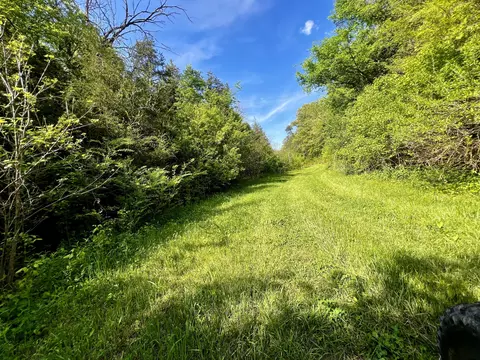 4045 S Mohawk Rd, Mohawk, TN 37810 photo 31