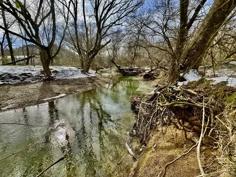 4045 S Mohawk Rd, Mohawk, TN 37810 photo 84