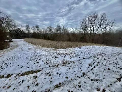4045 S Mohawk Rd, Mohawk, TN 37810 photo 107