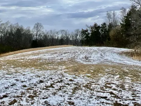 4045 S Mohawk Rd, Mohawk, TN 37810 photo 111