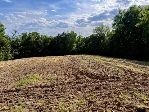 4045 S Mohawk Rd, Mohawk, TN 37810 photo 39