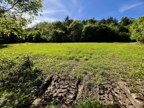4045 S Mohawk Rd, Mohawk, TN 37810 photo 60