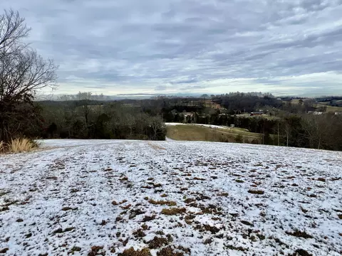 4045 S Mohawk Rd, Mohawk, TN 37810 photo 112