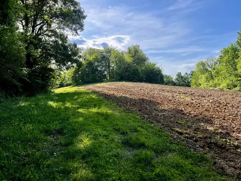 4045 S Mohawk Rd, Mohawk, TN 37810 photo 36