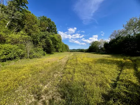 4045 S Mohawk Rd, Mohawk, TN 37810 photo 61