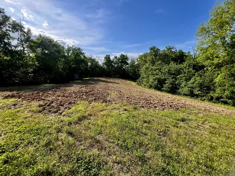 4045 S Mohawk Rd, Mohawk, TN 37810 photo 66