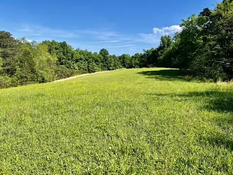 4045 S Mohawk Rd, Mohawk, TN 37810 photo 54