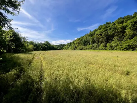 4045 S Mohawk Rd, Mohawk, TN 37810 photo 59